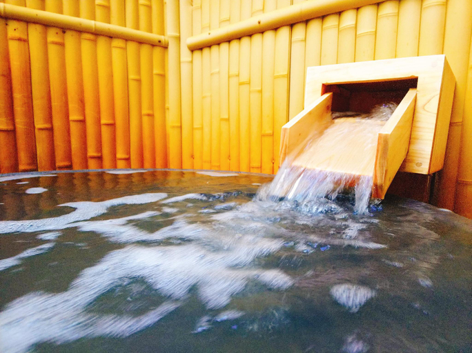 Sport & Beauty 5, Tosaryu Onsen Sanyoso Ryokan, Susaki