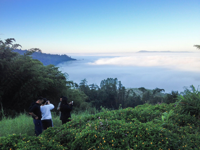 Others 5, Khonrak Talaymok Khao Kho, Khao Kho