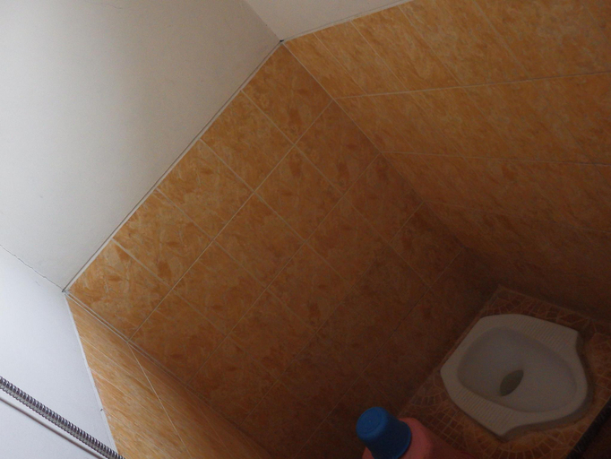 Bathroom 5, The Winner Hotel, Pemalang