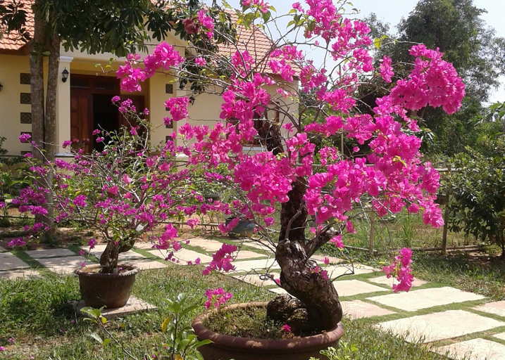 Others 4, Spring Garden Homestay, Phú Quốc