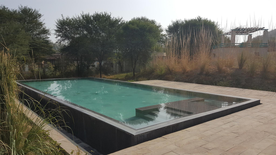 Sport & Beauty 2, Trees N Tigers Luxury Wildlife Lodge, Alwar