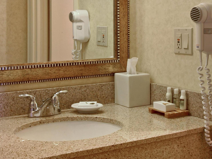 Bathroom 4, Red Lion Hotel Templin's on the River, Kootenai