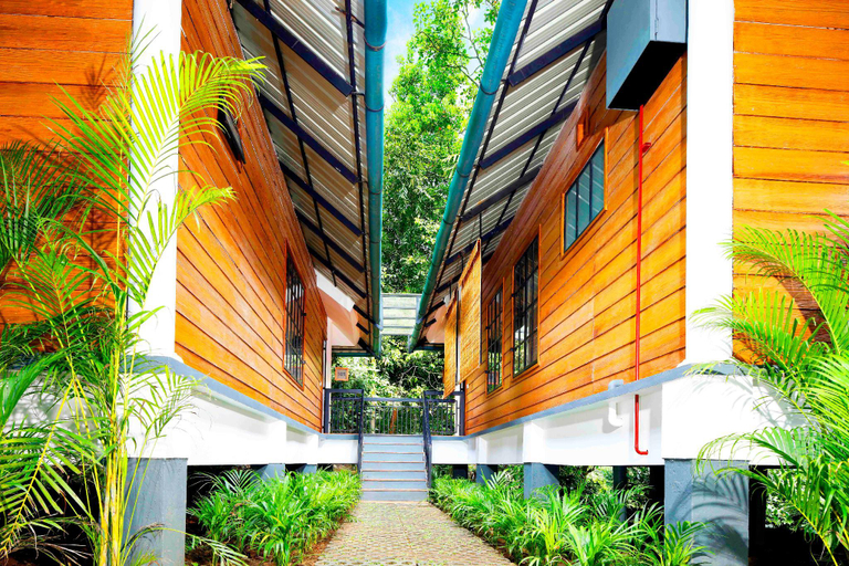 Others 5, Wayanad Coffee Trail Resort, Wayanad