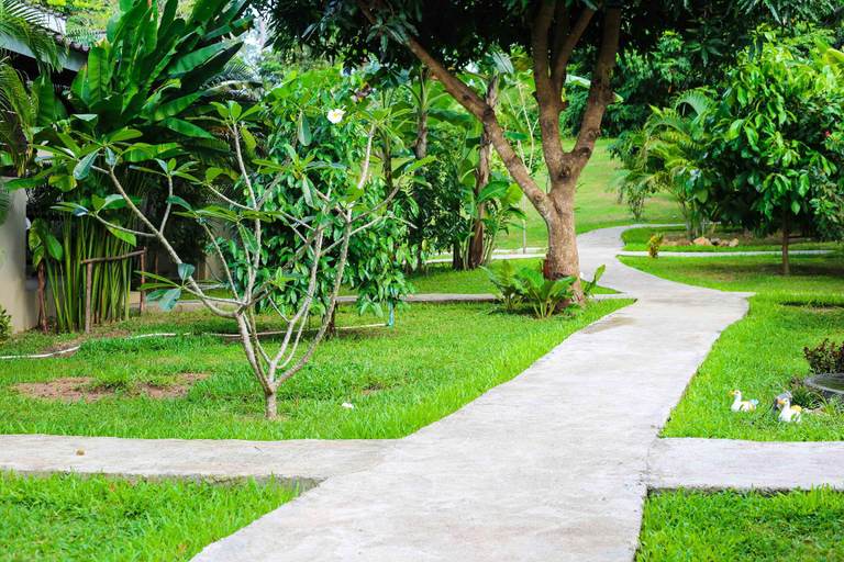 Others 3, Bang Po Hut Nature Room A, Ko Samui