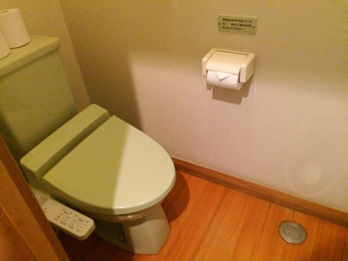 Bathroom 3, Nishiki Onsen Hotel Kurion, Semboku