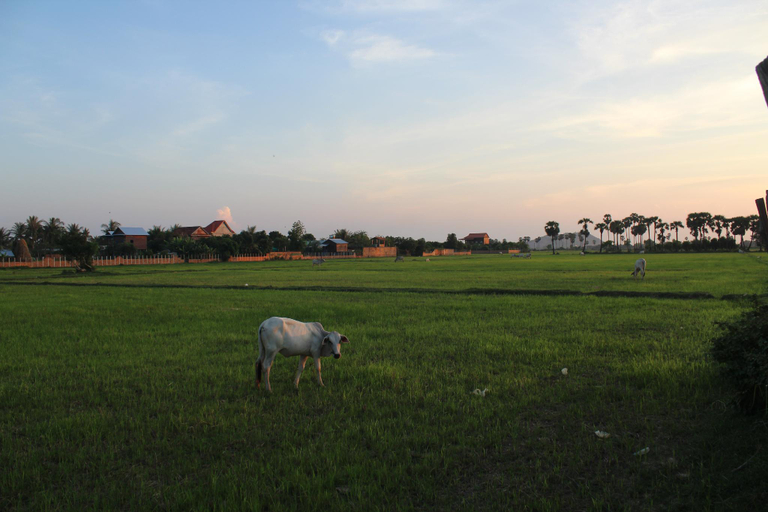 Others 5, Family Homestay, Siem Reap