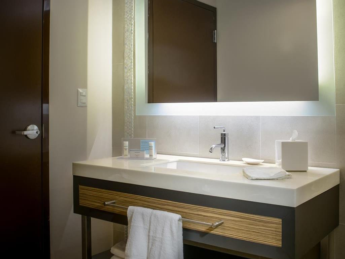 Bathroom 2, Hampton Inn by Hilton Zacatecas, Zacatecas