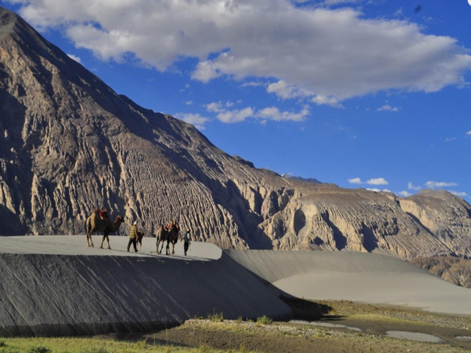 Others 3, Himalayan Eco Resort, Leh