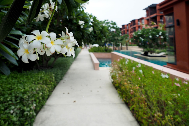 Others 4, Bluroc Huahin Pool View, Hua Hin