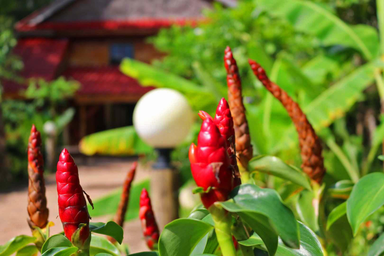 Food & Drinks 3, Papa Pippo Otres Village, Sihanoukville