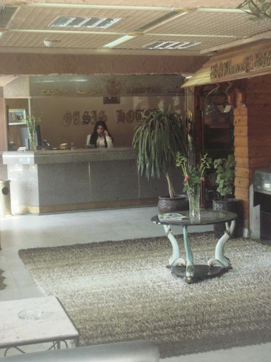 Public Area 3, Oasis Hotel Heliopolis, Nasr City 1