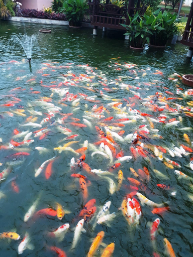 Others 5, Pongsin Resort and Restaurant, Khun Han