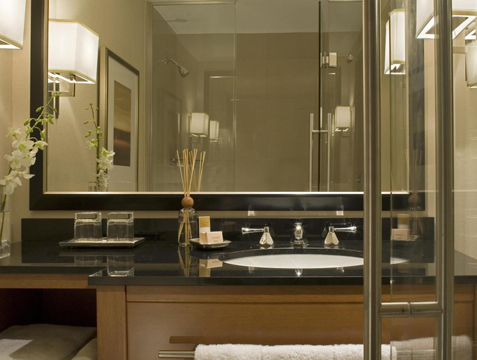 Bathroom 5, Hyatt Regency Crystal City, Arlington