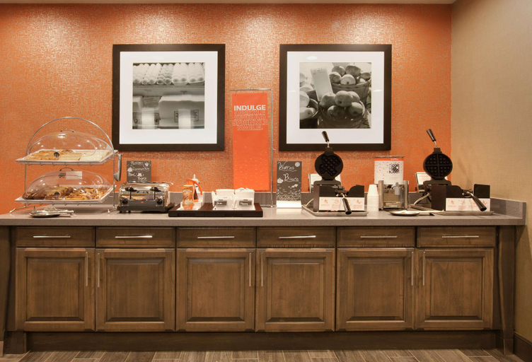 Food & Drinks 4, Hampton Inn Snyder TX, Scurry