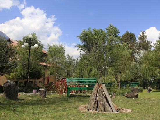 Others 3, Hotel Volga, Anantnag
