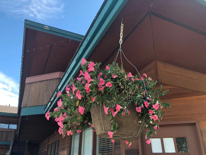 Exterior & Views 2, Timber Lodge Inn, Kittitas