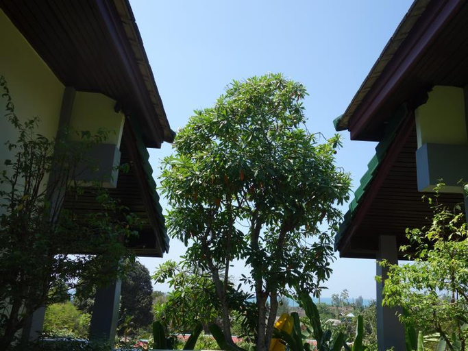 Others 5, Khaolak Hillside Villa, Takua Pa