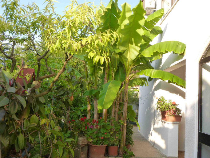 Others 5, Angelo Apartment, in the Quiet Part of Porec, Poreč