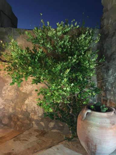 Public Area, Auberge de Tamezret, Matmata