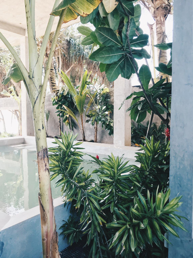 Others 5, Morena Boutique Hotel, Weligama