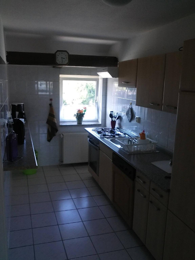 Others 5, Apartment 4 Langelsheim Harz, Goslar