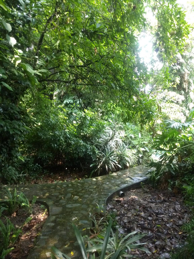 Others 2, The Jungle Bungalow #Bella Finestra, Kangra