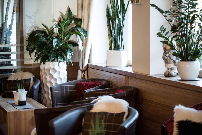 Public Area 4, Hotel Pinei Nature & Spirit, Bolzano