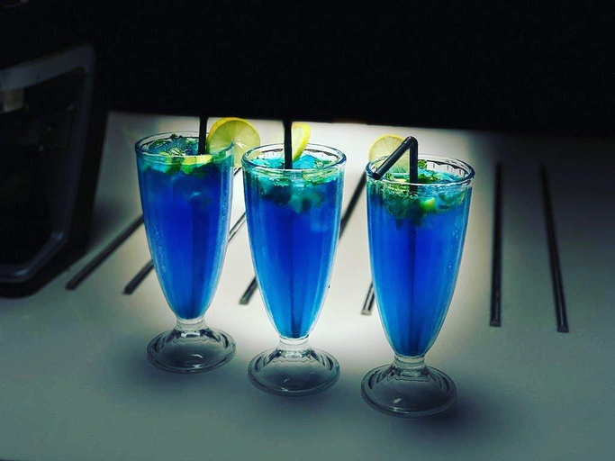 Food & Drinks 5, Hotel Ratangarh Palace, Jaipur