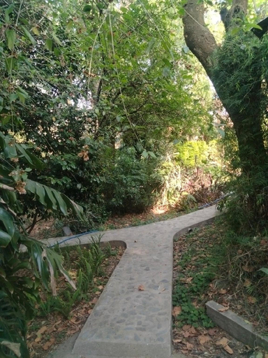 Others 3, The Jungle Bungalow #Bella Finestra, Kangra