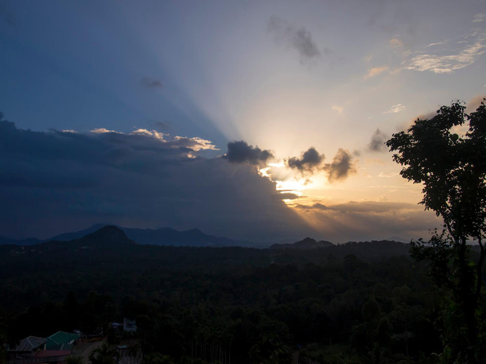 Others 2, Edakkal Hermitage Resort, Wayanad
