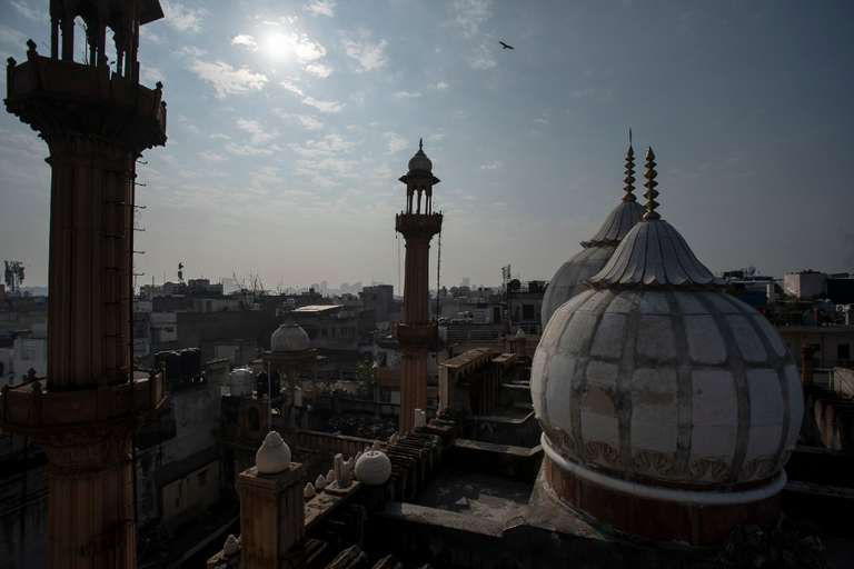 Others 4, Yes Boss By Backpackers Heaven, Delhi