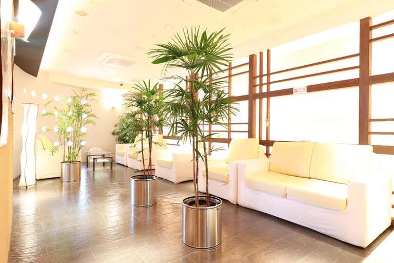Public Area, Toyama Town Hotel, Toyama