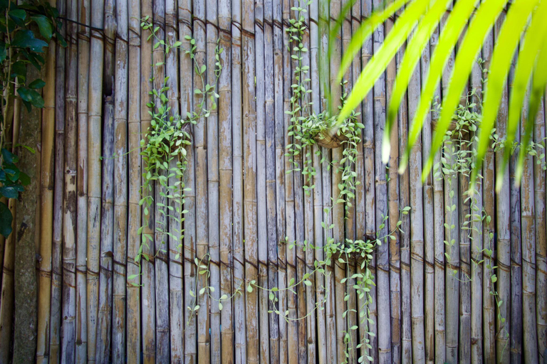 Others 3, Balcony Villa., Ko Phangan