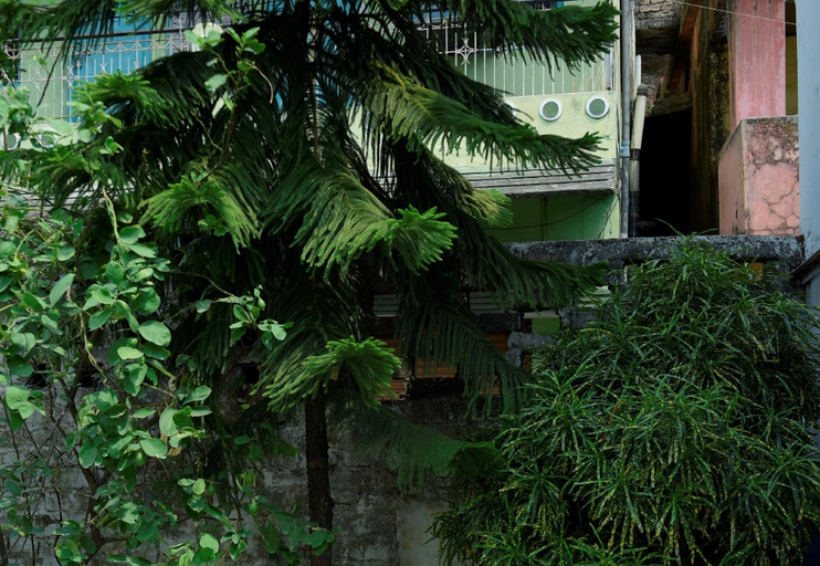 Others 4, Hotel Siddharth, Udham Singh Nagar