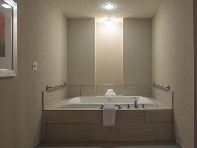 Bathroom 3, Hilton Garden Inn Bolingbrook, Will