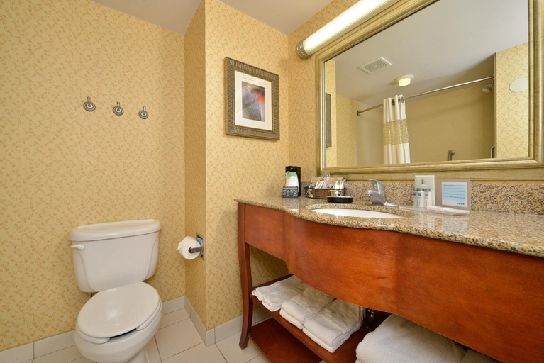 Bathroom 4, Hampton Inn Farmville, Prince Edward