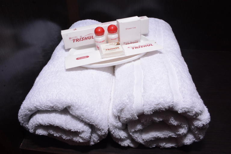 Others 4, Hotel Trishul Haridwar, Hardwar