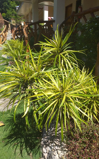 Others 2, Hanna's Place, San Juan