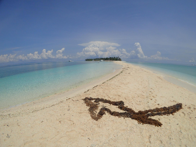 Others 2, Malapatel, Daanbantayan