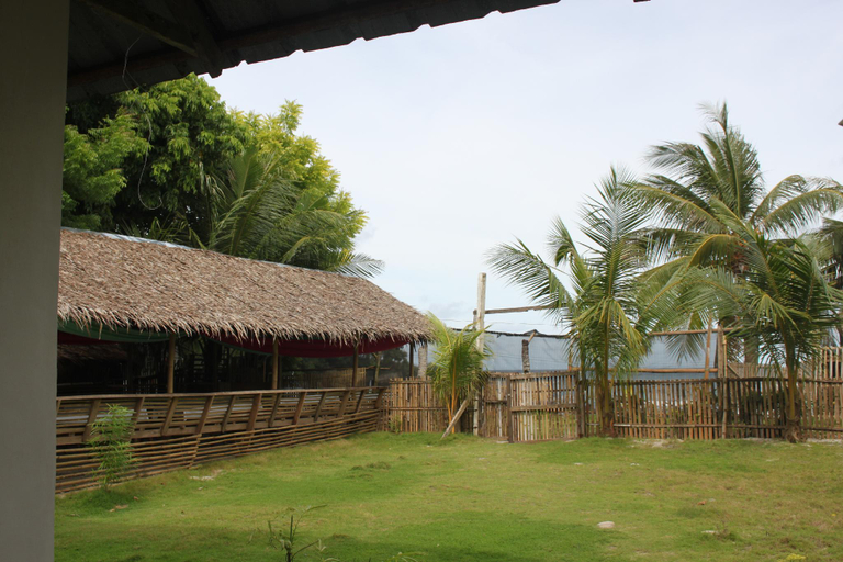 Others 4, Happy's Homestay, Malay