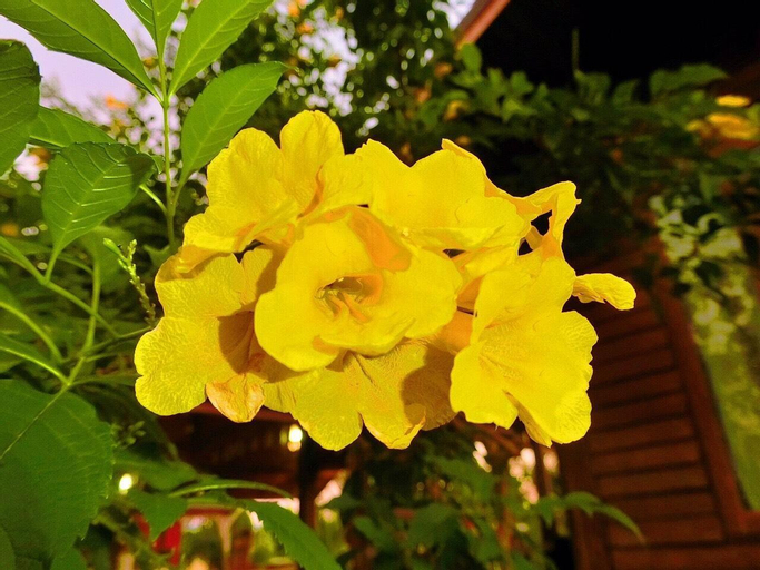 Wangnamkeaw Goodview Resort, Wang Num Khiaw
