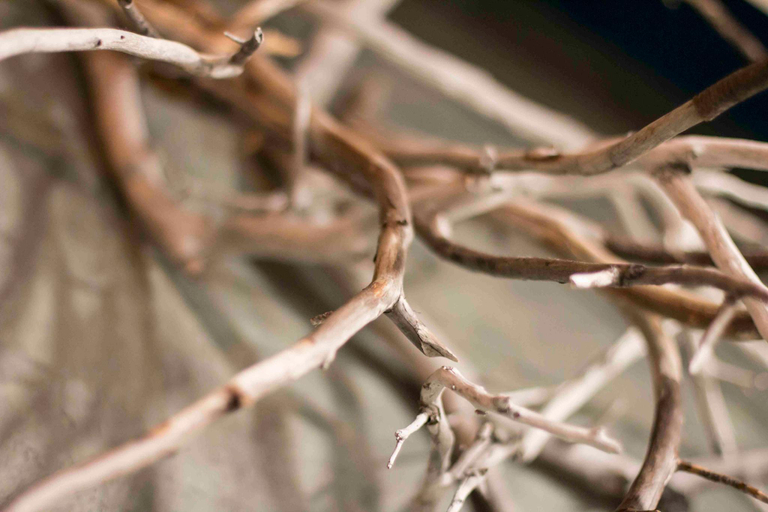 Others