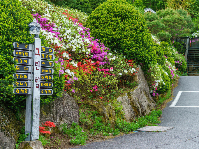 Others 5, Pyeongchang Greenhill Pension, Pyeongchang