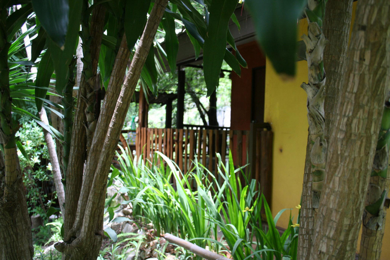 Others 4, Baan Tildao Pround Fah /Exotic room on a hill, Pak Chong