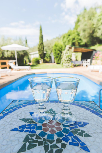 Sport & Beauty 2, Beautiful house, pool, greenery, modern, luxury, Lucca