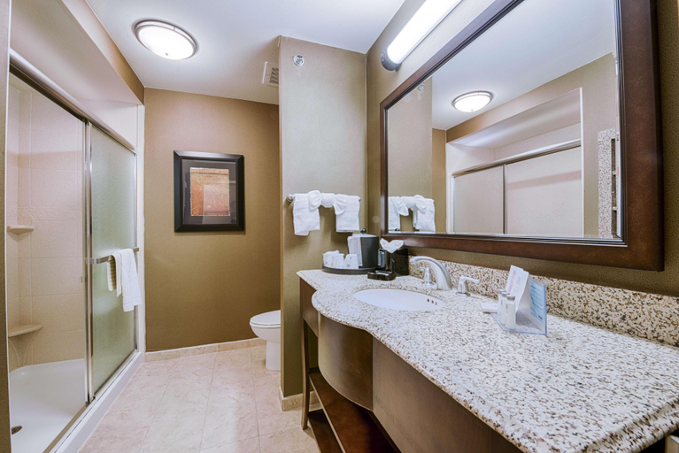 Bathroom 5, Hampton Inn & Suites Pinedale, Sublette