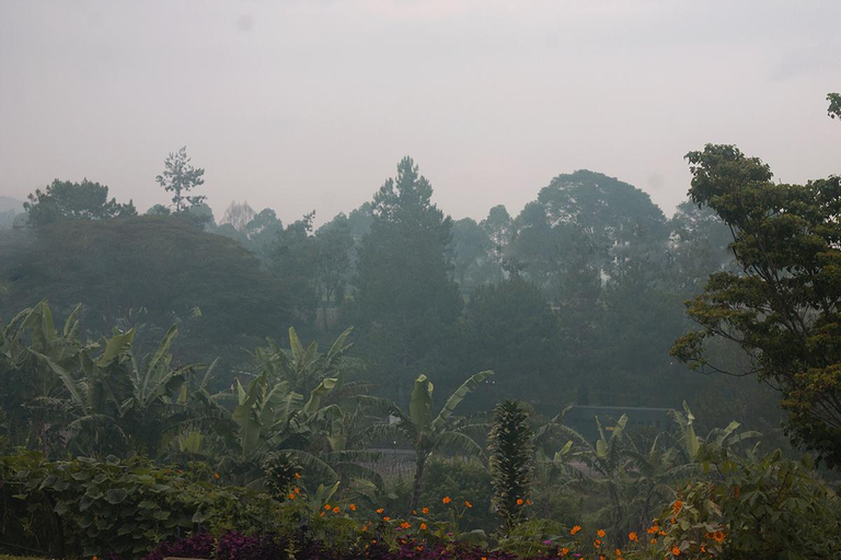 Exterior & Views 5, Villa G10, Bandung