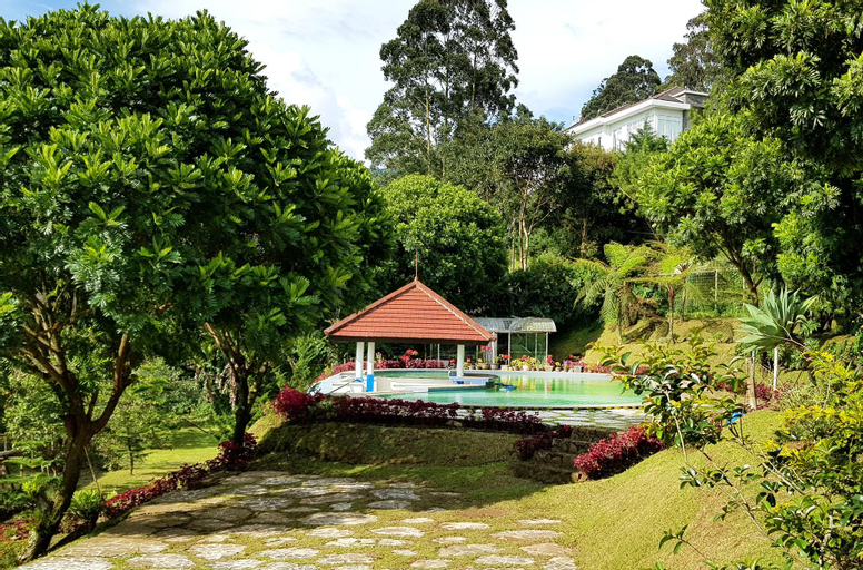 Villa Wood, Bandung