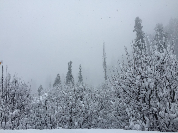 Others 3, Yalakhom, Kullu