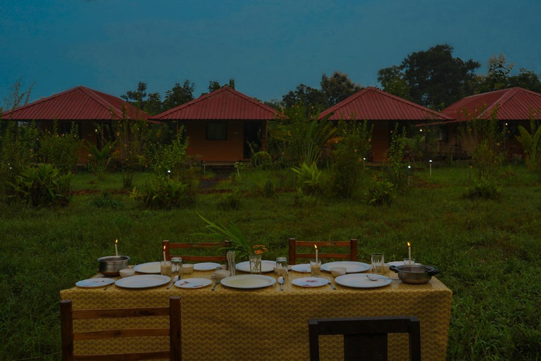 Food & Drinks 5, Tadoba Safari Stay Nature's Sprout, Chandrapur